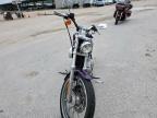 Houston, TX에서 판매 중인 2002 Harley-Davidson Xl883 C - Front End