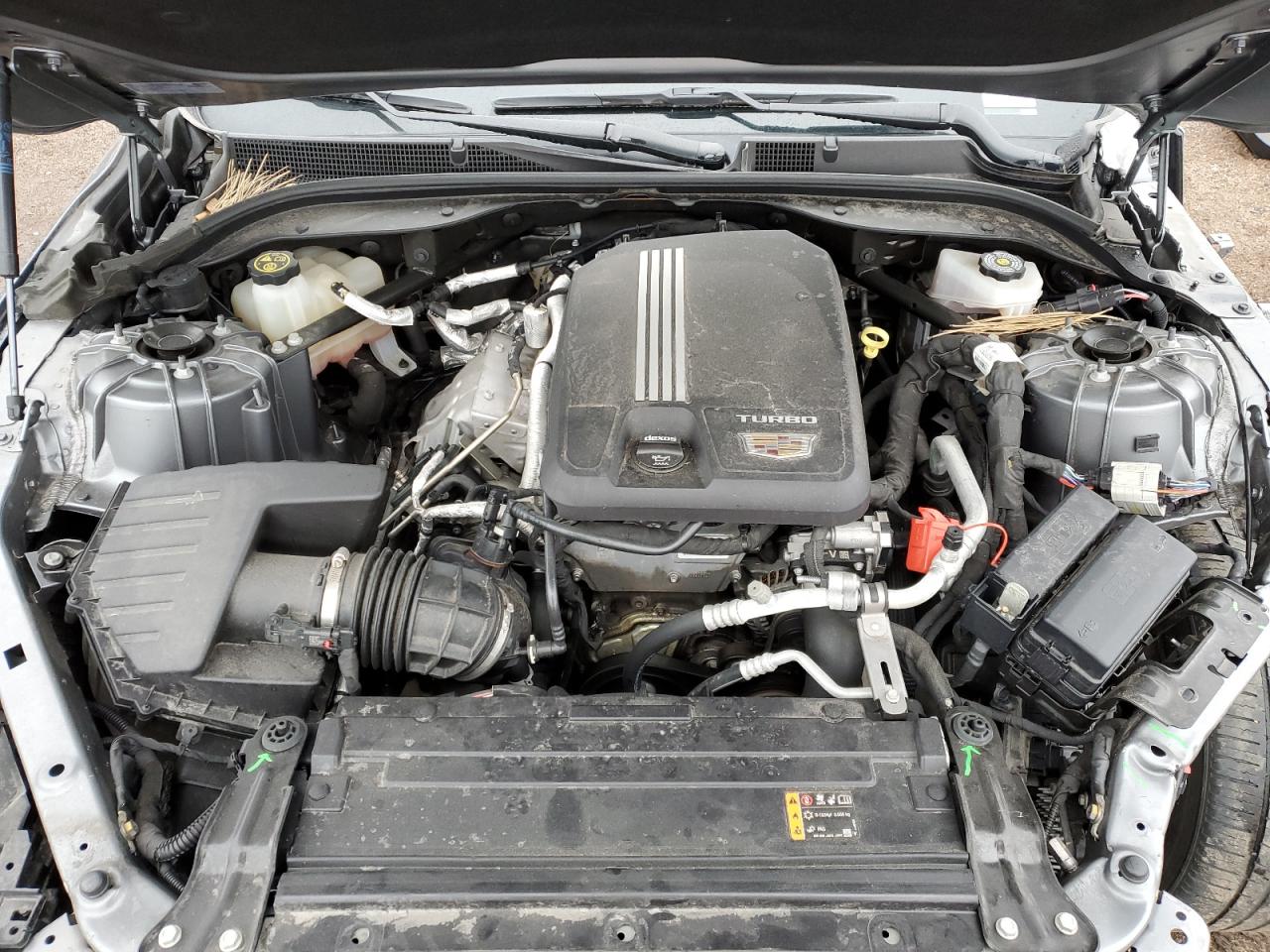 2022 Cadillac Ct5 Luxury VIN: 1G6DM5RK6N0113436 Lot: 59493495