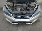 Ham Lake, MN에서 판매 중인 2013 Honda Accord Exl - Front End