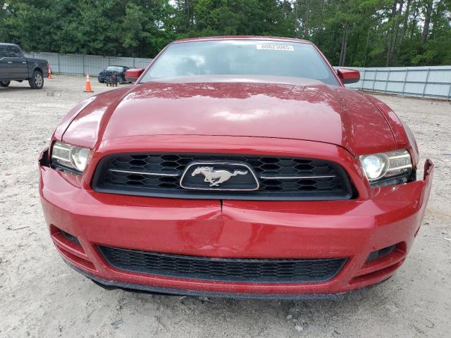  FORD ALL Models 2013 Czerwony