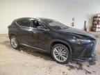 2024 Lexus Nx 350 Luxury en Venta en Chalfont, PA - Water/Flood
