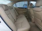 2005 Lexus Es 330 იყიდება West Palm Beach-ში, FL - Hail