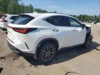 2024 LEXUS NX 450H LUXURY   for sale at Copart ON - COOKSTOWN