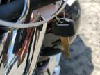 1998 HONDA VT750 CD   for sale at Copart MD - BALTIMORE EAST