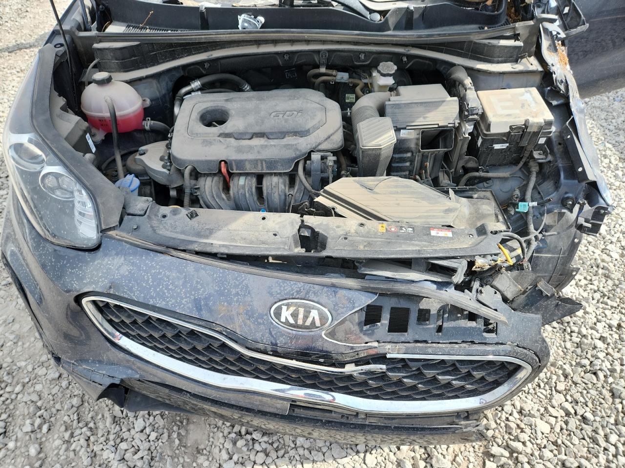 2022 Kia Sportage Lx VIN: KNDPM3ACXN7016301 Lot: 60558415