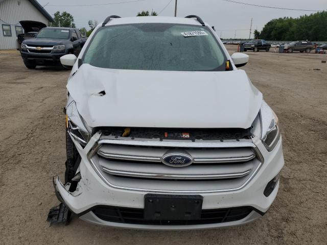  FORD ESCAPE 2019 Biały