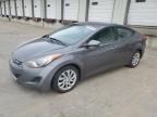 2012 Hyundai Elantra Gls продається в Louisville, KY - Rear End