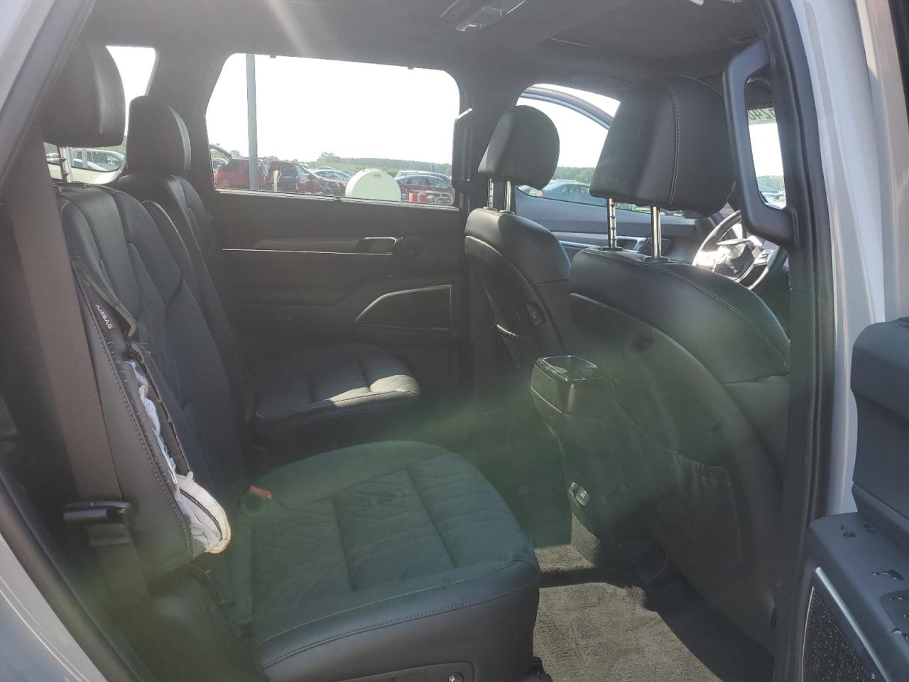 2024 Kia Telluride Sx VIN: 5XYP5DGC0RG510069 Lot: 62489365