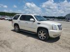 2009 CADILLAC ESCALADE LUXURY   à vendre chez Copart AR - LITTLE ROCK