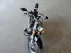 2007 Honda Vt750  for Sale in Jacksonville, FL - Front End