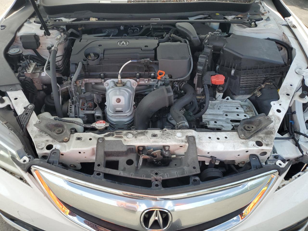 2015 Acura Tlx VIN: 19UUB1F37FA025176 Lot: 58983255