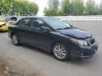 2010 Toyota Corolla Base   zu verkaufen in Arlington, WA - Front End