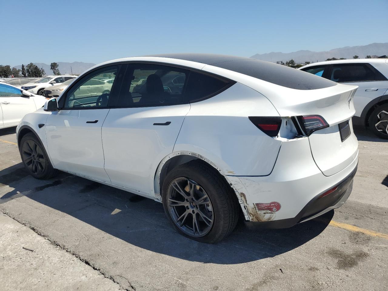 2024 Tesla Model Y VIN: 7SAYGAEE7RF101627 Lot: 62929215