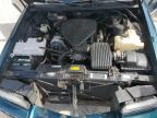 1995 CADILLAC FLEETWOOD BASE   à vendre chez Copart FL - FT. PIERCE