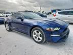 2019 Ford Mustang  for Sale in Haslet, TX - Hail