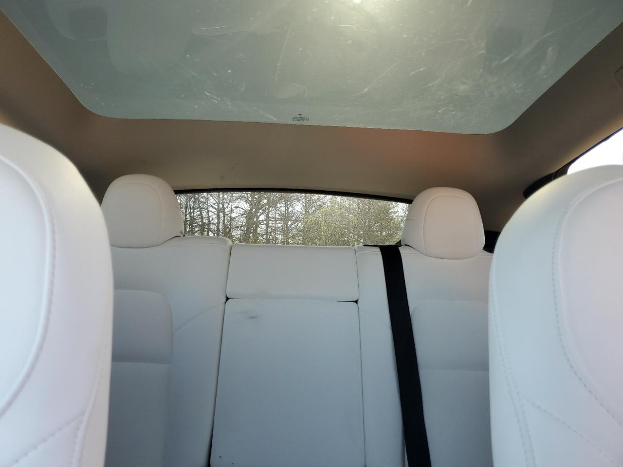 2023 Tesla Model Y VIN: 7SAYGAEE5PF690559 Lot: 61683155