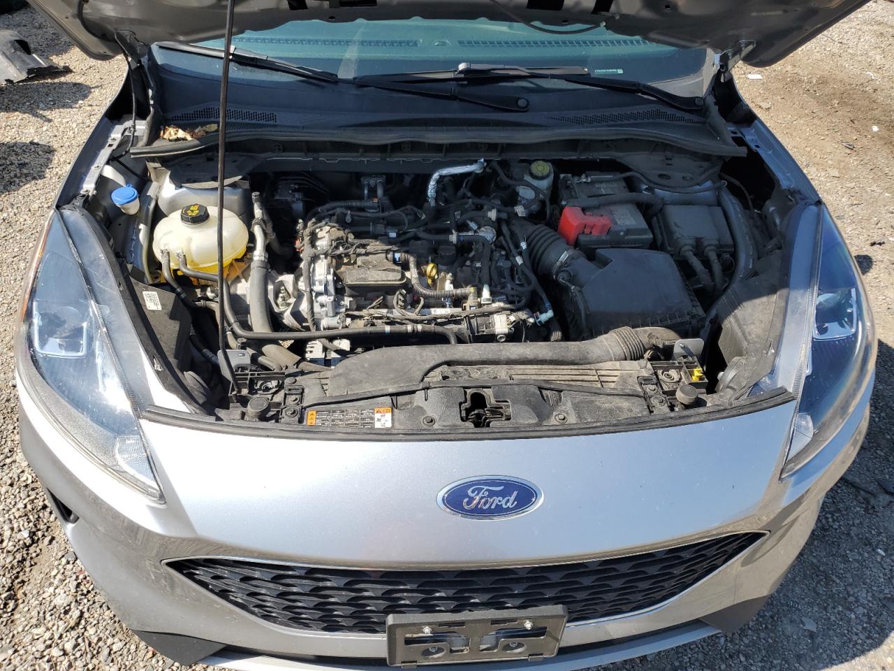 2022 Ford Escape Se VIN: 1FMCU0G67NUA63880 Lot: 61545635