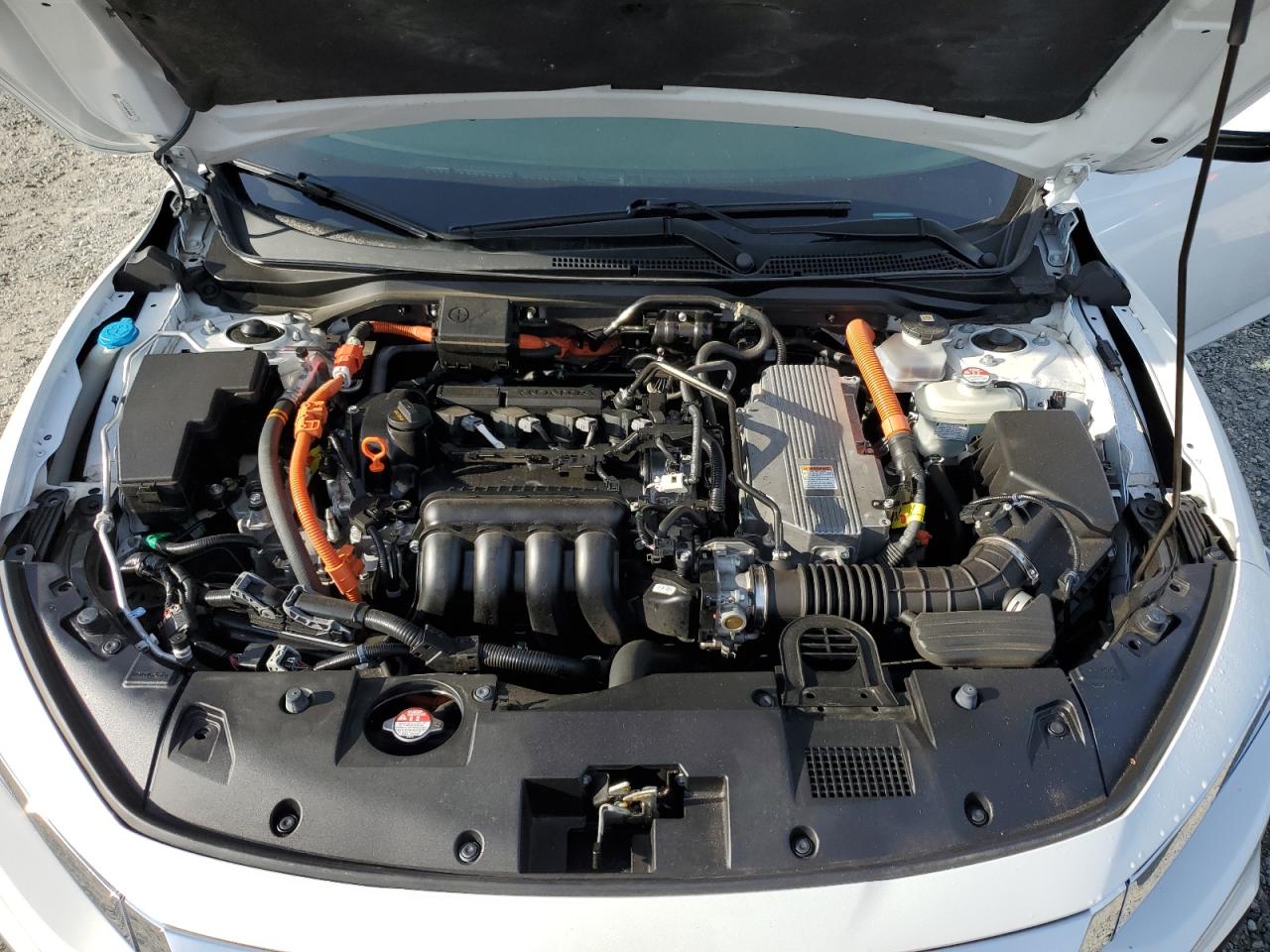 2021 Honda Insight Ex VIN: 19XZE4F59ME009828 Lot: 59995455