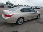 Ham Lake, MN에서 판매 중인 2013 Honda Accord Exl - Front End
