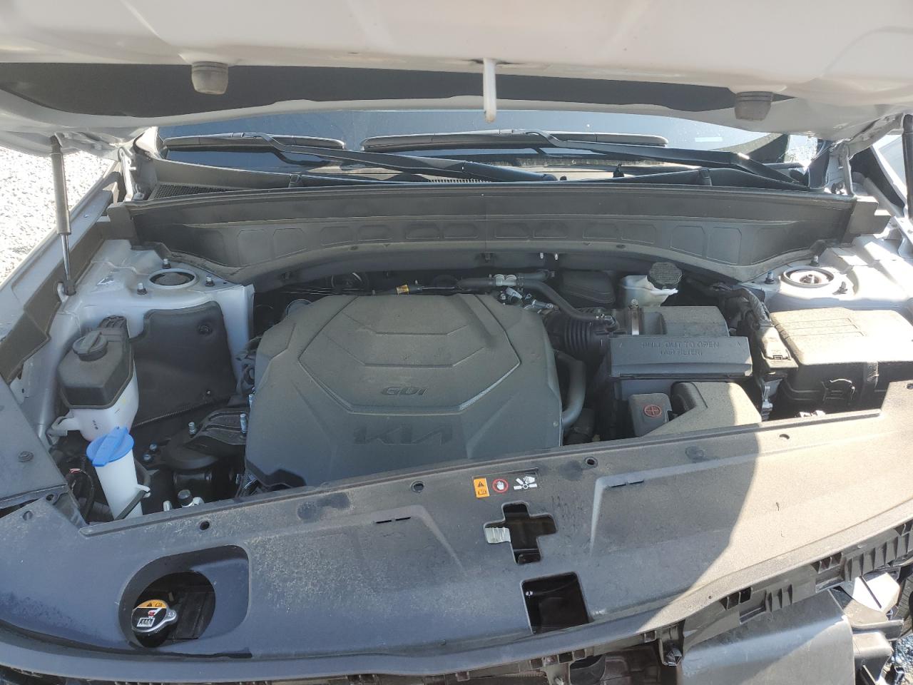 2024 Kia Telluride Sx VIN: 5XYP5DGC0RG510069 Lot: 62489365