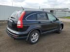 Lansing, MI에서 판매 중인 2010 Honda Cr-V Exl - Mechanical