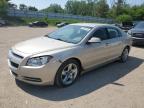 2009 Chevrolet Malibu 1Lt   for Sale in Davison, MI - Side