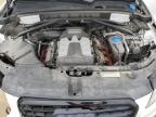 2017 Audi Sq5 Premium Plus за продажба в Columbia, MO - Front End