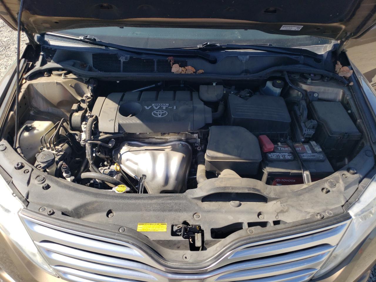2009 Toyota Venza VIN: 4T3BE11A69U004828 Lot: 62785705