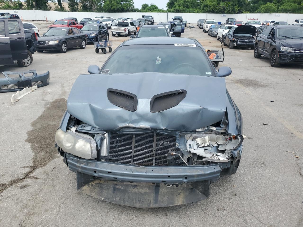2005 Pontiac Gto VIN: 6G2VX12U15L442516 Lot: 63206855