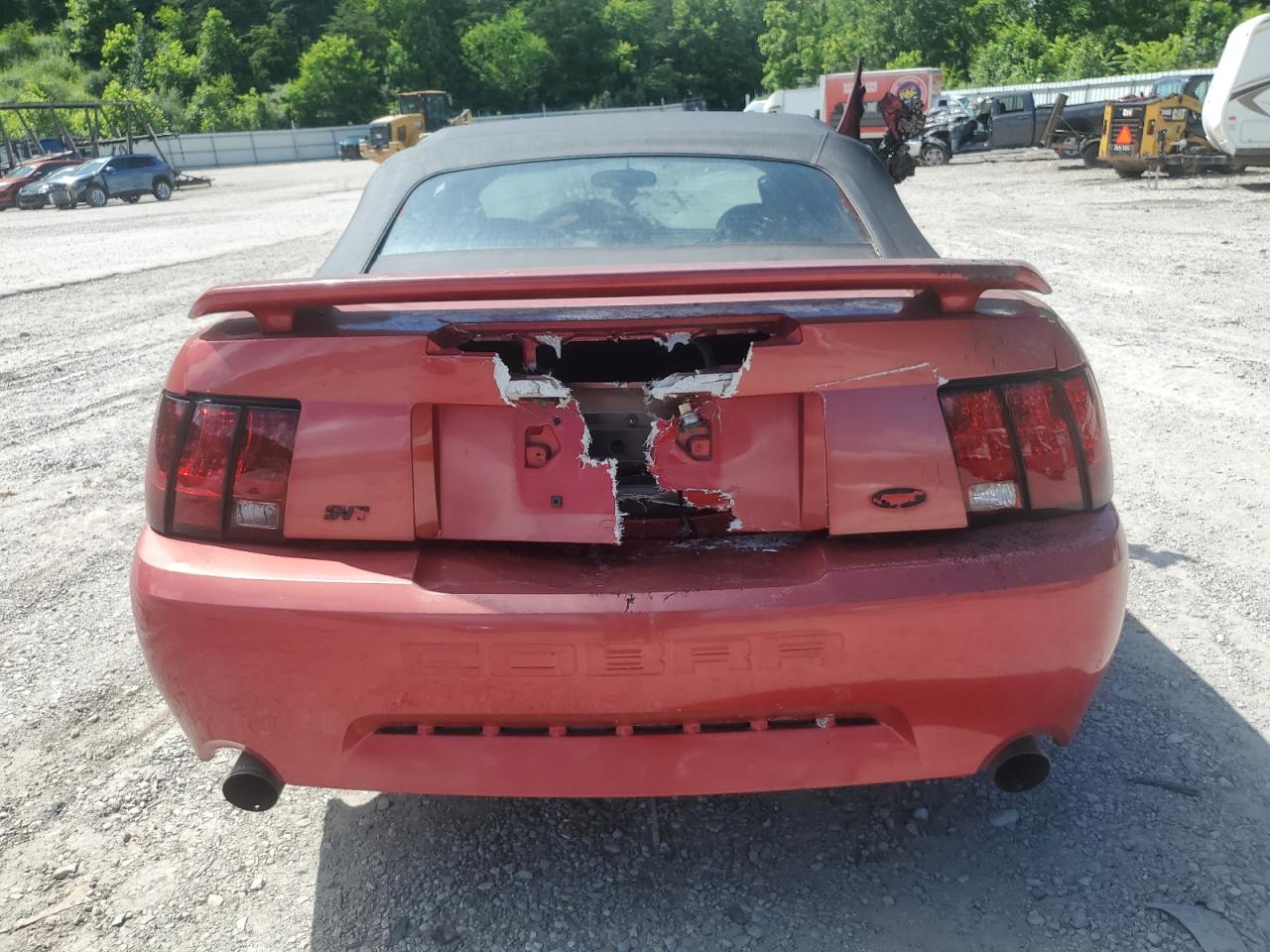 2001 Ford Mustang Cobra Svt VIN: 1FAFP46V61F219579 Lot: 61029845