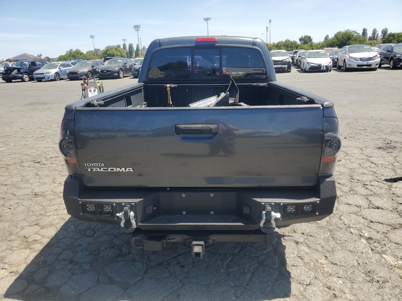 2009 Toyota Tacoma VIN: 5TENX22N19Z624313 Lot: 61928075
