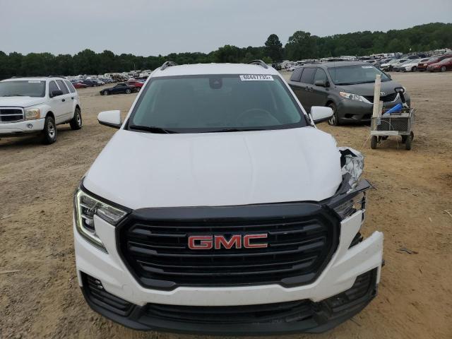  GMC TERRAIN 2022 Белы