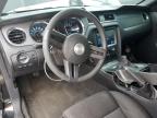 2012 Ford Mustang Gt zu verkaufen in Bridgeton, MO - Hail