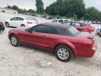 2006 Ford Mustang    for Sale in Madisonville, TN - Front End