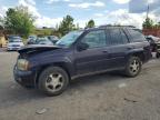 2008 Chevrolet Trailblazer Ls for Sale in Gaston, SC - Front End