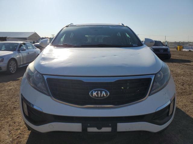  KIA SPORTAGE 2014 Білий