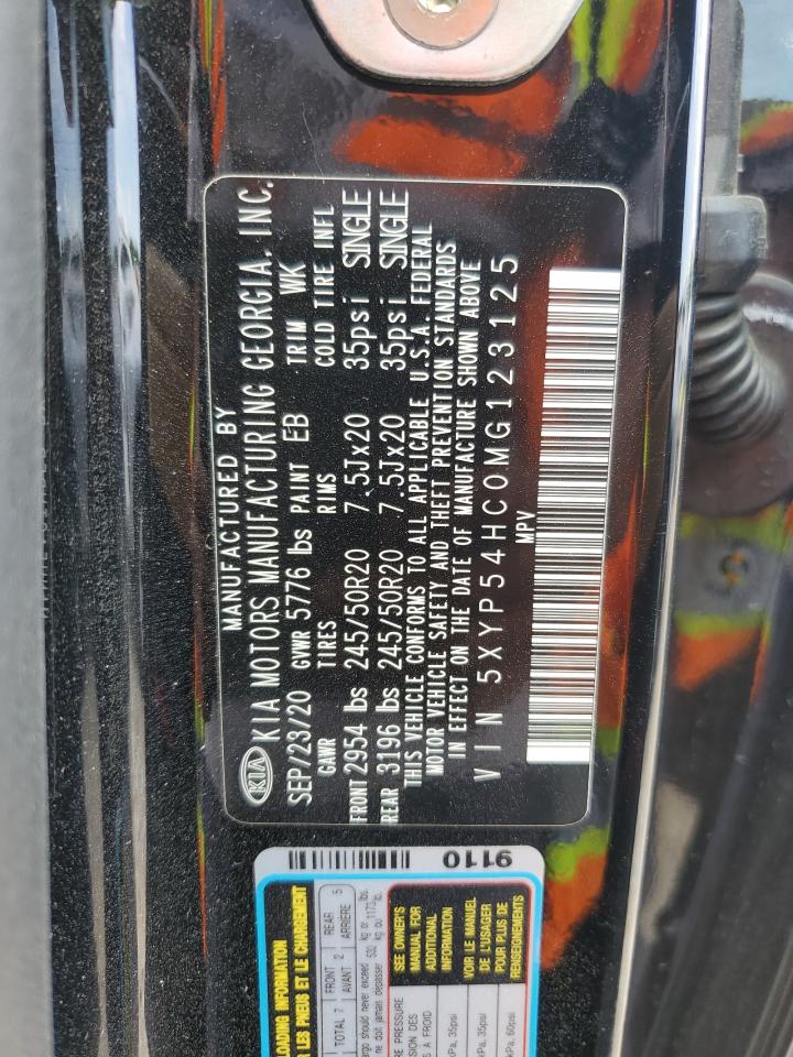 2021 Kia Telluride Sx VIN: 5XYP54HC0MG123125 Lot: 62345355