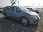 2016 Honda Odyssey Se للبيع في Cicero، IN - Rear End