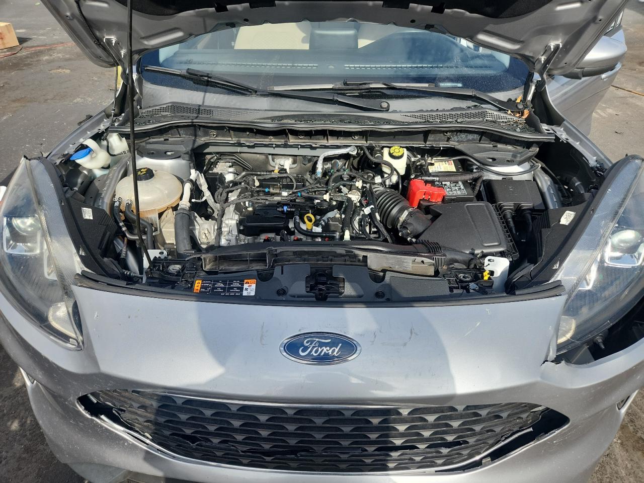 2021 Ford Escape Se VIN: 1FMCU9G68MUA39798 Lot: 62391565