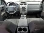 2010 Ford Escape Xlt for Sale in Eugene, OR - Front End