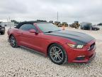 Temple, TX에서 판매 중인 2015 Ford Mustang  - Rear End