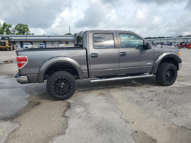 Пикапы FORD F-150 2013 Серый