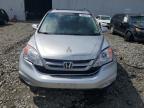 2010 Honda Cr-V Exl   на продаже в Windsor, NJ - Front End