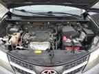 2013 Toyota Rav4 Le na sprzedaż w Opa Locka, FL - Rear End