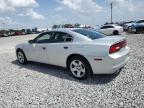 2013 Dodge Charger Police იყიდება Apopka-ში, FL - Normal Wear