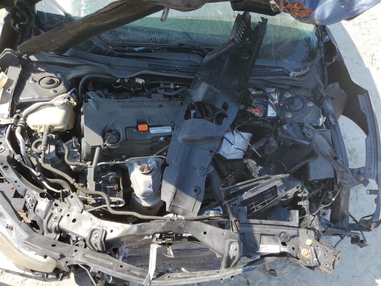 2016 Honda Civic Lx VIN: 19XFC2F51GE030979 Lot: 61965145