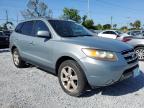 2007 Hyundai Santa Fe Se للبيع في Riverview، FL - Side