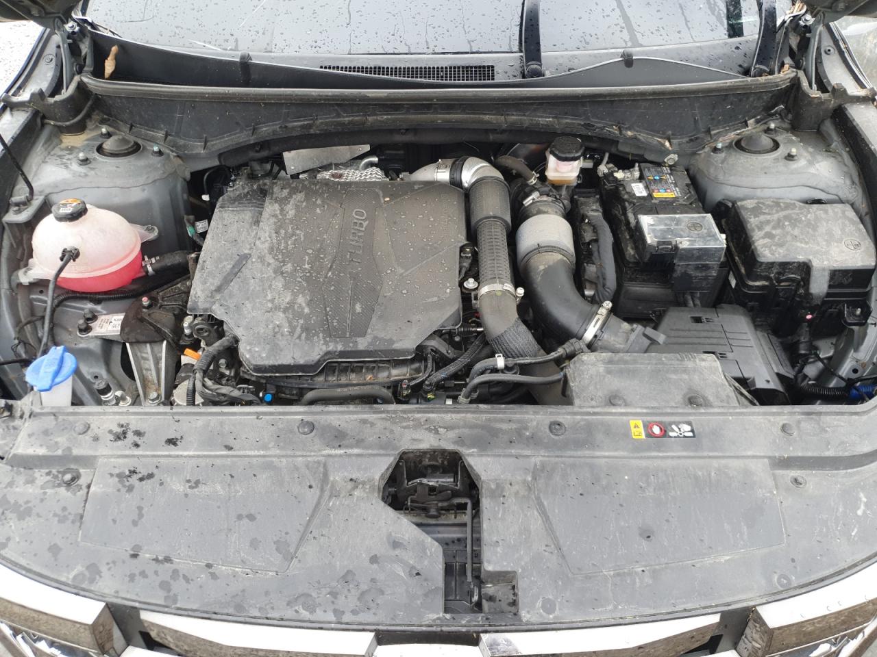 2023 Hyundai Santa Cruz Night VIN: 5NTJCDAF8PH060564 Lot: 61330885