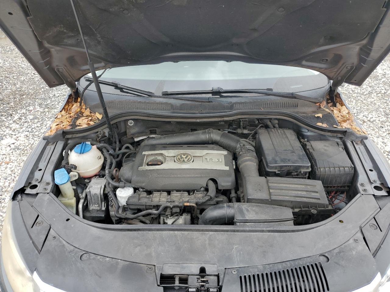 2013 Volkswagen Cc Sport VIN: WVWBN7AN9DE555390 Lot: 59458175
