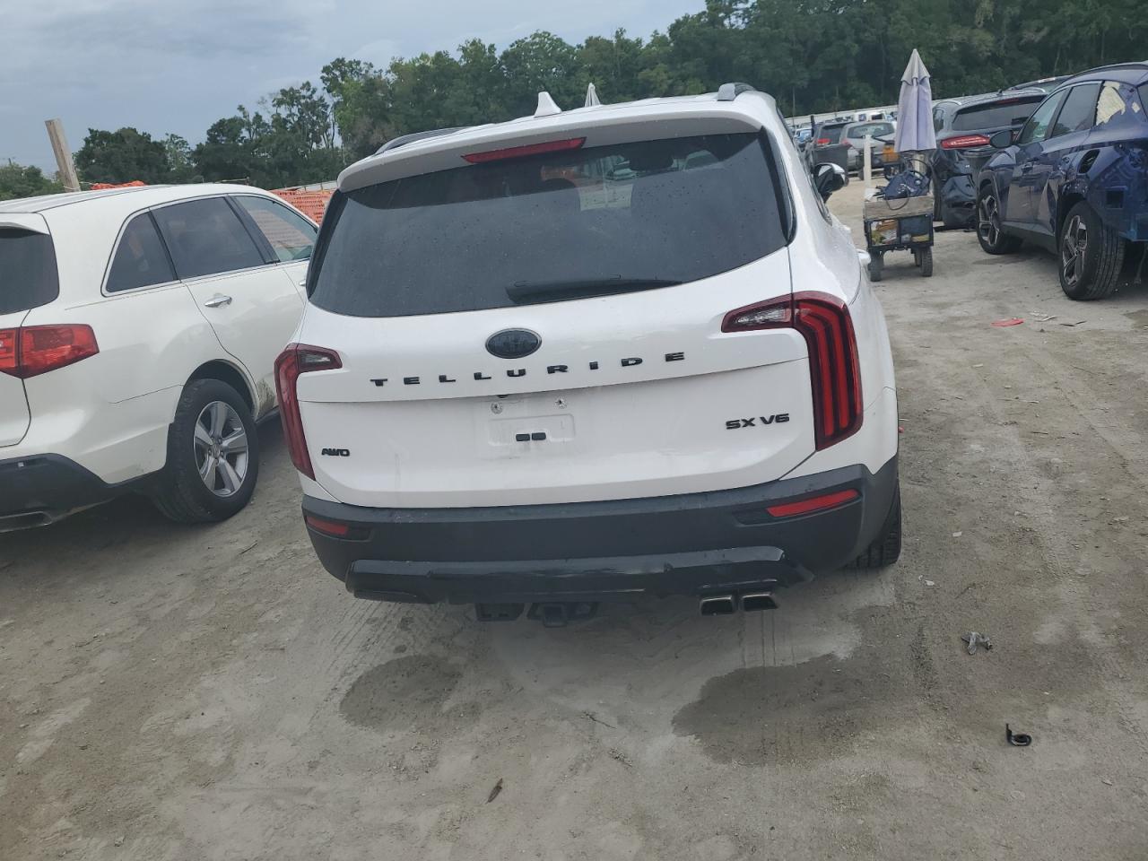 2021 Kia Telluride Sx VIN: 5XYP5DHC1MG125563 Lot: 61372995